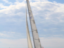 IMG_5332ab.jpg