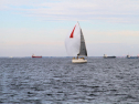 IMG_5361ab.jpg