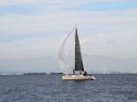 IMG_5363ab.jpg