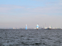 IMG_5380ab.jpg