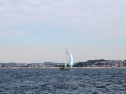 IMG_5382ab.jpg