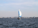 IMG_5385ab.jpg