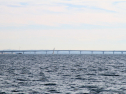 IMG_5391ab.jpg