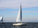 IMG_5392ab.jpg