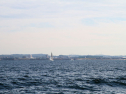 IMG_5395ab.jpg