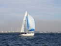IMG_5396ab.jpg