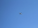 IMG_5397ab.jpg