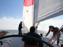 IMG_5398ab.jpg
