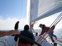 IMG_5399ab.jpg
