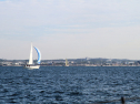 IMG_5401ab.jpg