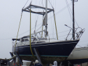 RIMG4801.JPG