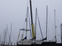 RIMG4818.JPG
