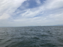 IMG_0420.jpeg