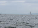 IMG_0421.jpeg