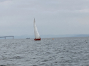 IMG_0433.jpeg