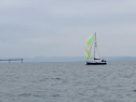IMG_0443.jpeg