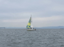 IMG_0445.jpeg