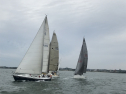 IMG_7130.jpeg