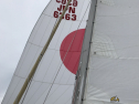 IMG_7138.jpeg