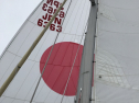 IMG_7139.jpeg