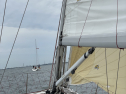 IMG_8329.jpeg