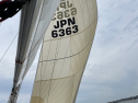 IMG_8333.jpeg