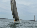 IMG_8335.jpeg