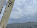 IMG_8337.jpeg