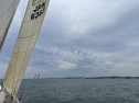 IMG_8339.jpeg