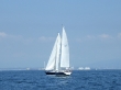 RIMG5003.JPG