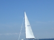 RIMG5004.JPG