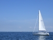 RIMG5005.JPG