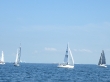 RIMG5013.JPG