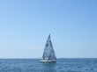 RIMG5015.JPG