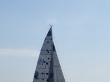 RIMG5016.JPG