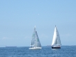 RIMG5021.JPG