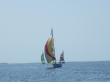 RIMG5040.JPG