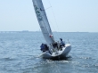 RIMG5046.JPG