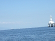RIMG5047.JPG