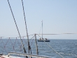RIMG5051.JPG