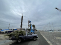 IMG_1463.jpeg