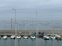 IMG_1467.jpeg