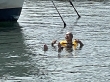 IMG_4421.jpeg