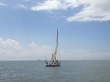 RIMG4923.JPG