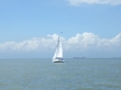 RIMG4924.JPG