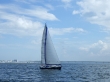 RIMG4937.JPG
