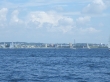 RIMG4938.JPG