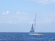 RIMG4939.JPG