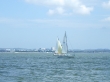 RIMG4940.JPG