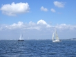 RIMG4941.JPG
